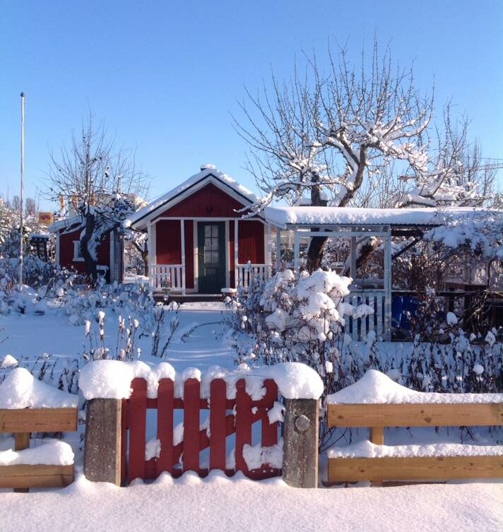 vinter4